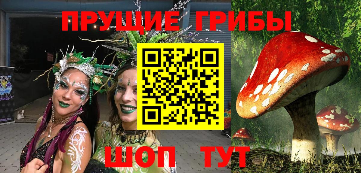 Серов  Галлюциногенные грибы GOLDEN TEACHER  Вход с VPN 