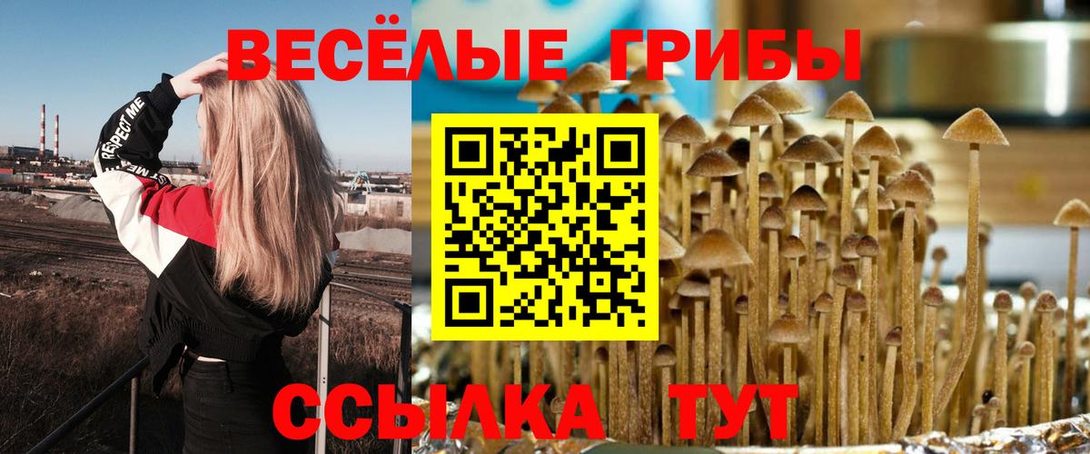 Псилоцибиновые грибы MAGIC MUSHROOMS Серов